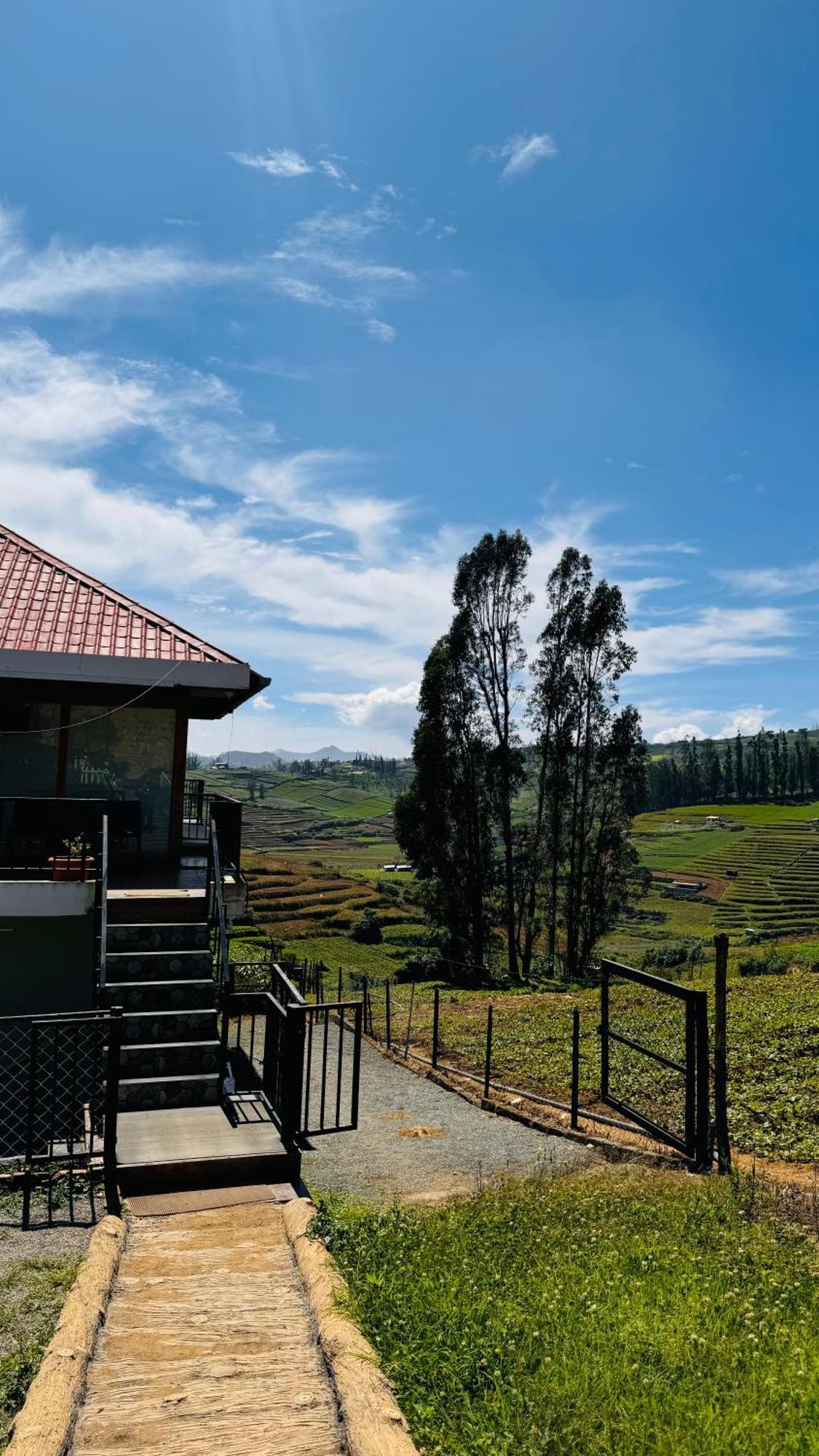 Bed and Breakfast The Wooden Springs à Ooty Extérieur photo